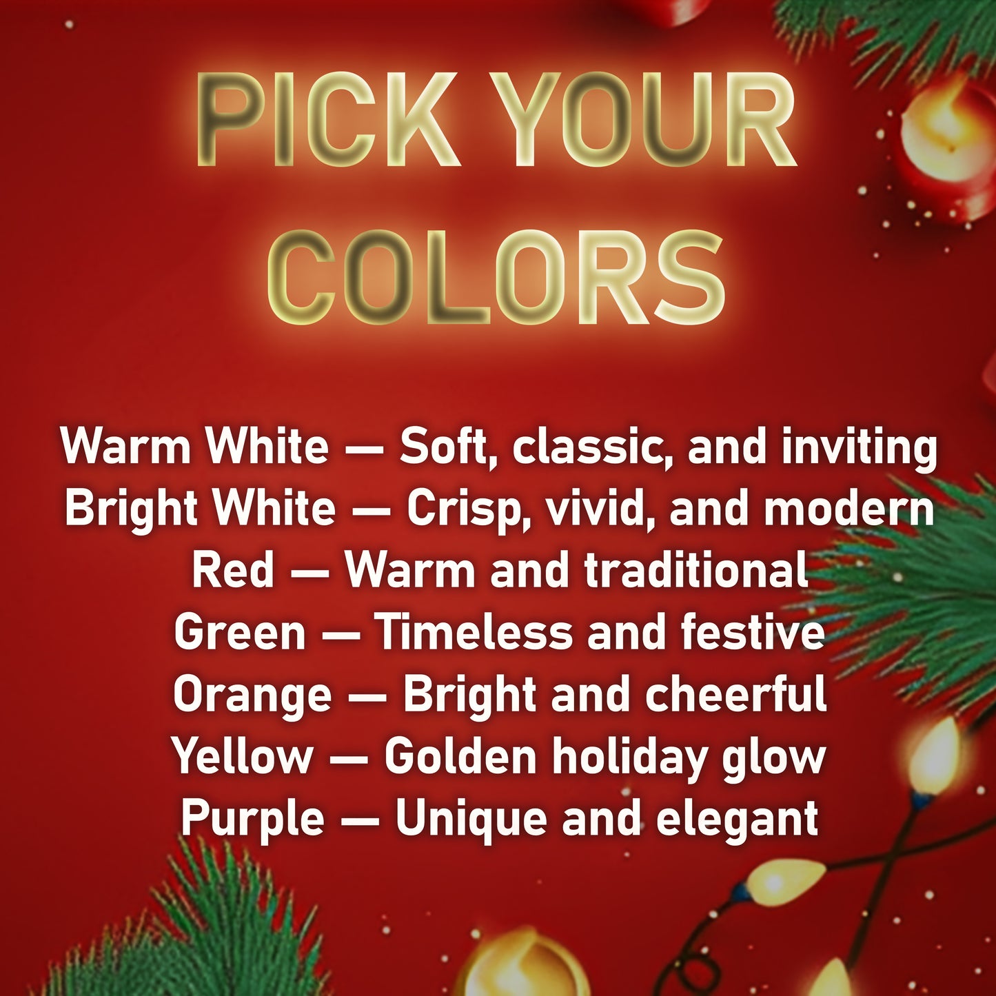 Holiday Light Installation