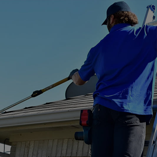 Gutter Cleaning